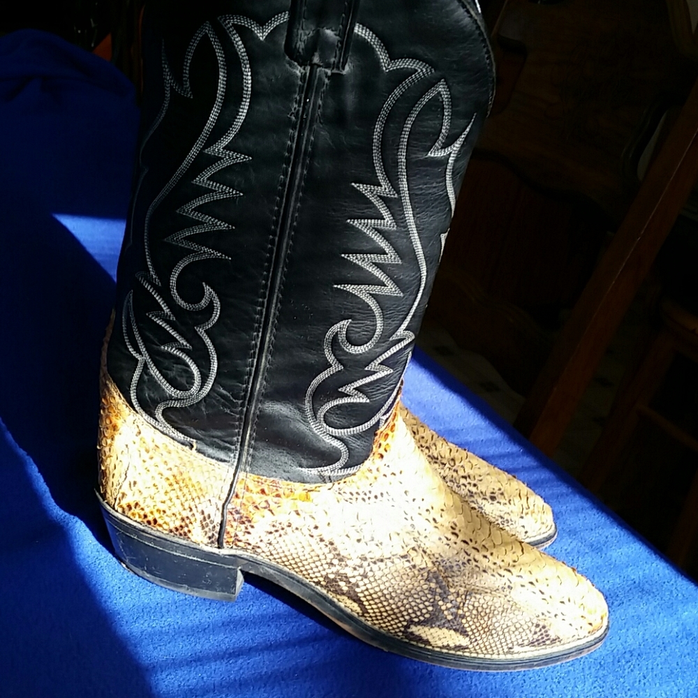 Black leather and snake skin cowboy boots
